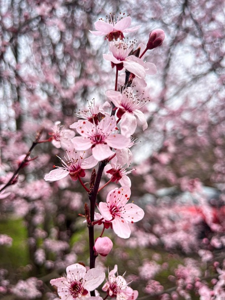 23-03-17 13-28-28 4908.jpeg